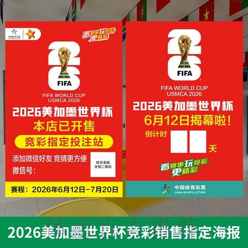 2026年世界杯投注软件安装与使用指南